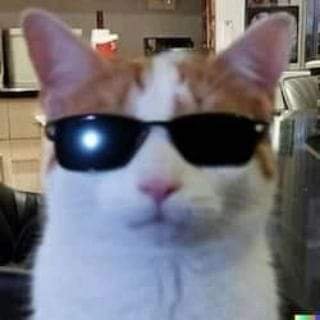 Guetzalさんのプロフィール画像