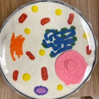 Soeder and Lee (@sciencewoo) 's Twitter Profile Photo