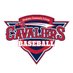 Kankakee CC Baseball (@CavaliersBSB) Twitter profile photo