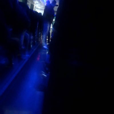 vvioletlol's profile picture. k