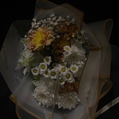 qassim_batool's profile picture. Always fight for the things that you love