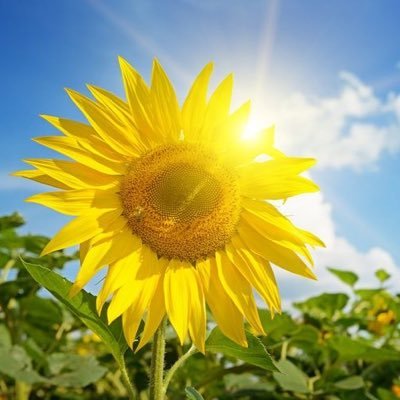 0vero's profile picture. 