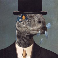 But With Raptors (@butwitraptors) 's Twitter Profile Photo But With Raptors (@butwitraptors) 's Twitter Profile Photo