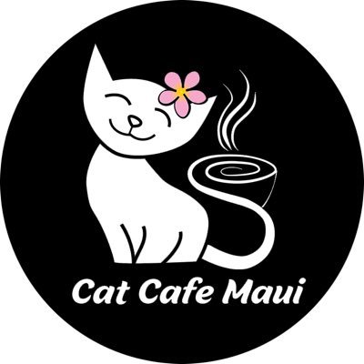 Cat Cafe Maui - The First Cat Cafe on Maui