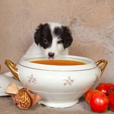 soup Profile