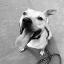 Dylan Joiner - @Hctw5600 - Twitter