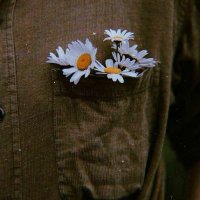 Hira🦋 (@hirrra08) 's Twitter Profile Photo Hira🦋 (@hirrra08) 's Twitter Profile Photo