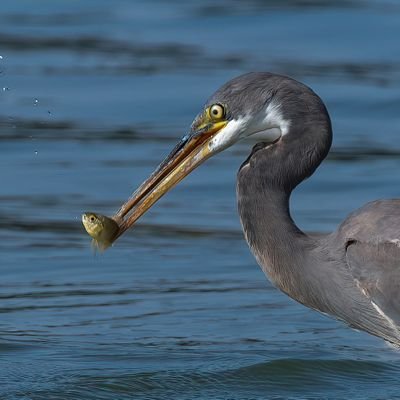 Rujlan_Ahmad's profile picture. Freelance Journalist