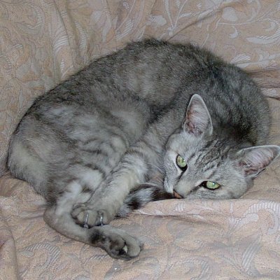 ima_koko_G's profile picture. 【鏡映歌】とは？
https://t.co/nu8wxn13Nh

【鏡映歌】活用のすすめ
https://t.co/tCexFFr1SA