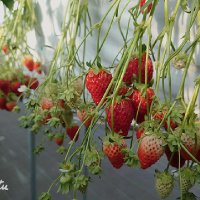 空☁️取引垢 (@mama4218) Twitter profile photo