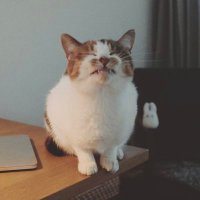 misa๐๐ (@______hagd) 's Twitter Profile