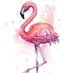 flamingo_102