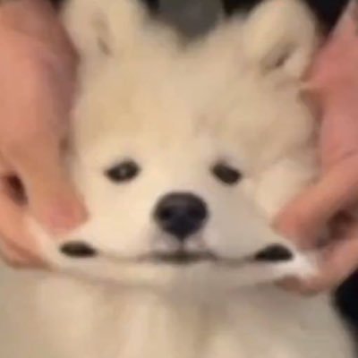 ชึชึ ॱଳ͘さんのプロフィール画像