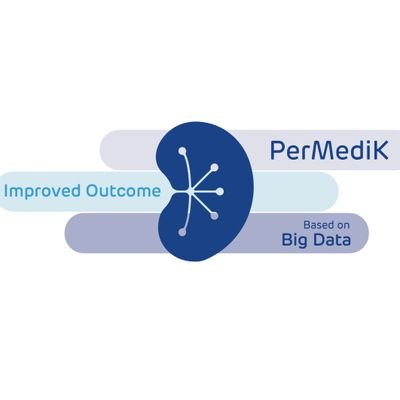 EU COST Action CA21165 - Personalized Medicine in Chronic Kidney Disease: Improved Outcome Based on Big Data