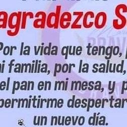 vargascandido61's profile picture. Luchador100%