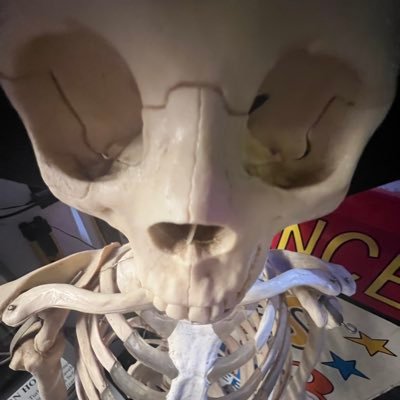 pxnkdeity's profile picture. 