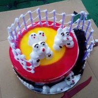 Neeraj Singh (@neerajs22146875) 's Twitter Profile