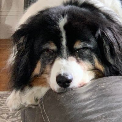 Trebor1719's profile picture. 