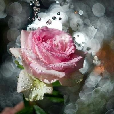 pinkrose654321's profile picture. 