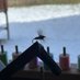 Fliegenfischen (@fliegenfischen3) Twitter profile photo Fliegenfischen (@fliegenfischen3) Twitter profile photo