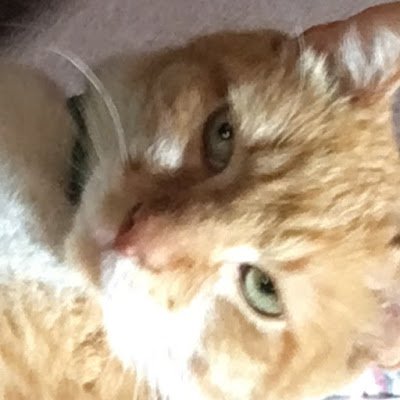 frannetO9's profile picture. 
