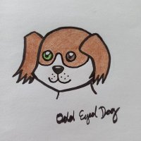 odd eyed dog(@oddeyeddog1) 's Twitter Profile Photo