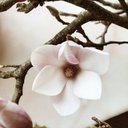 Jeff Jamieson - @JeffJam69155359 - Twitter