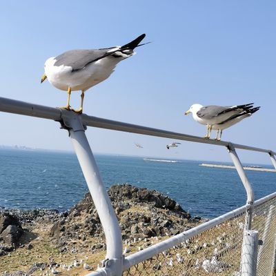 宮城県石巻市出身→盛岡市→八戸市在住。