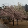 yangseonyeong13's profile picture. 