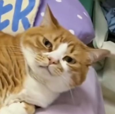 Joe49985553's profile picture. 天地合而万物生，阴阳结而变化起