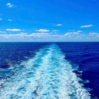 BlueWater 🤿 in Red Tide🤮🇺🇸 (@peacelove80s) 's Twitter Profile Photo BlueWater 🤿 in Red Tide🤮🇺🇸 (@peacelove80s) 's Twitter Profile Photo