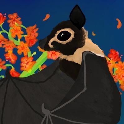 he/him or she/her
Just here to show my art and talk about bats. Have a nice day.