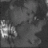 zysucyvys's profile image