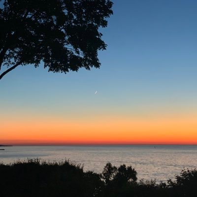 Bugs_Ma's profile picture. Wife, mom, conservative, Catholic. Loves America