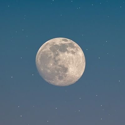 Abhi20801353's profile picture. Crypto trader and NFT holder 🖼️💰💲