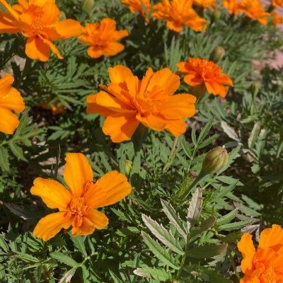 ho20_abcdyy's profile picture. わいわい/他趣味 無言フォロー失礼します🙏🏻