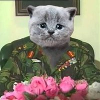 .gеn billан (miaowrshal law era) (@cheepomanostap) 's Twitter Profile Photo .gеn billан (miaowrshal law era) (@cheepomanostap) 's Twitter Profile Photo