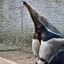 _Cody_20's profile picture. 