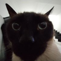 Mathias (@mathiartsr) 's Twitter Profile