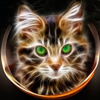 Chat Fantôme 🐈 (@chatfantome1) 's Twitter Profile Photo