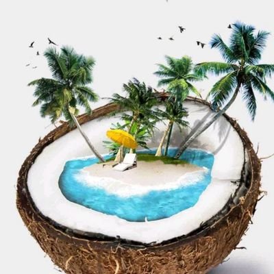 JkyBay's profile picture. silence but deadly