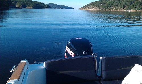 haraldbatberg's profile picture. 