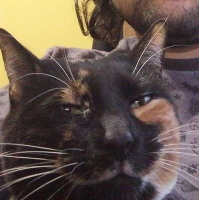 GuAiK0's profile picture. 