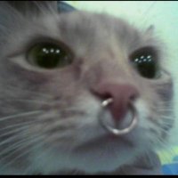 життя бентежне🦦 (@lozhka_bandery) 's Twitter Profile Photo життя бентежне🦦 (@lozhka_bandery) 's Twitter Profile Photo