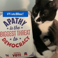 PetsForDemocracy 🌊🌊🌊(@Pets4Democracy) 's Twitter Profile Photo