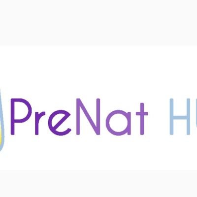 PreNatHub's profile picture. PreNat Hub provides evidence based, guidance, education & information for families, educators, social care & non neonatal frontline healthcare professionals