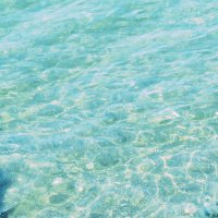 炭酸水 (@soda_swi) 's Twitter Profile