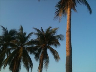 3z_am's profile picture. 