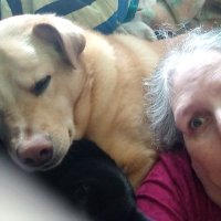 MomtoJen (@anti_deepstate) 's Twitter Profile