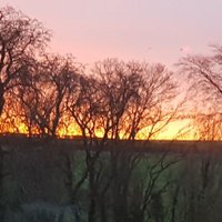 Debsbainbridge (@debsbainbridge) 's Twitter Profile